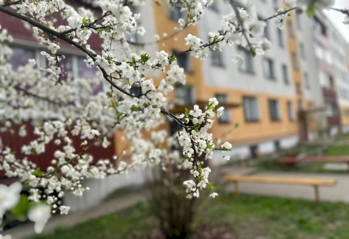 Весна с сюрпризами: какой будет погода в Беларуси с 20 по 26 апреля