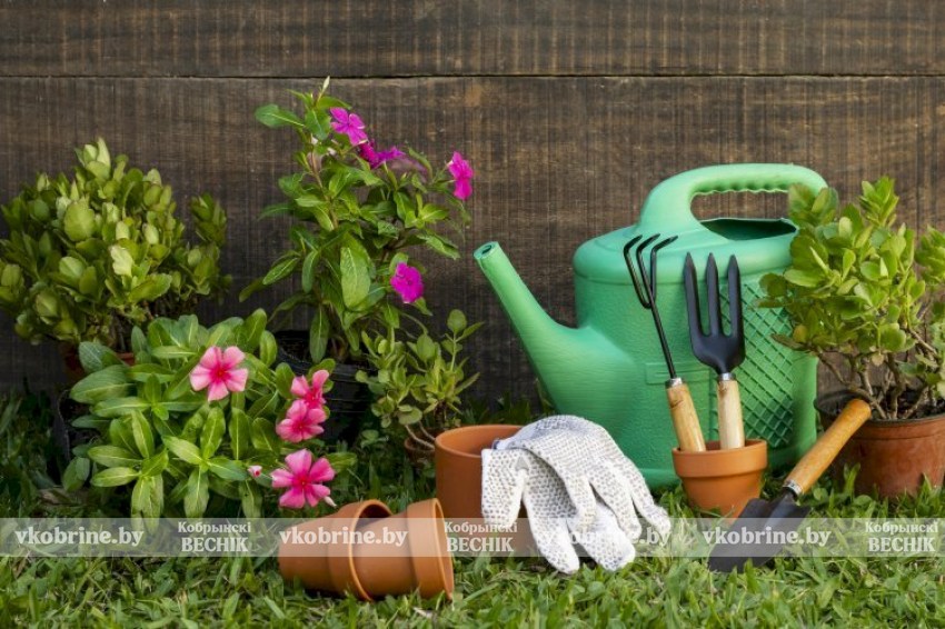 Конец апреля на даче: что нужно успеть сделать, чтобы не потерять урожай и не переделывать летом