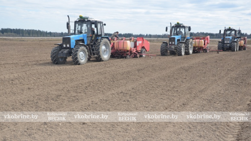 В Брестской области начали посадку картофеля