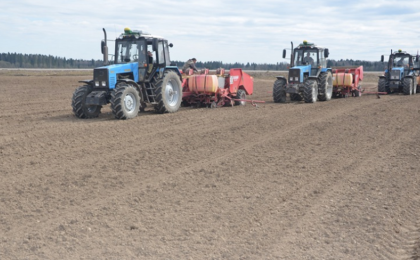 В Брестской области начали посадку картофеля
