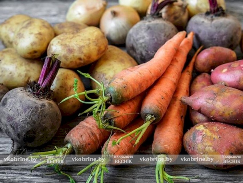 Предельные цены на картофель, свеклу, морковь, капусту, лук и яблоки установили в Беларуси