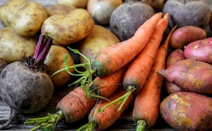 Предельные цены на картофель, свеклу, морковь, капусту, лук и яблоки установили в Беларуси