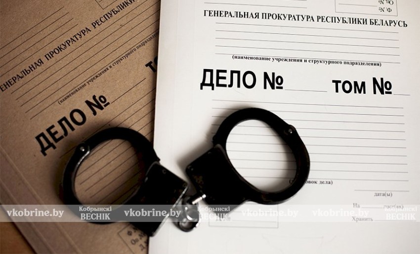 Финал криминального дуэта: в Кобрине осудили супругов за мошенничество в особо крупном размере