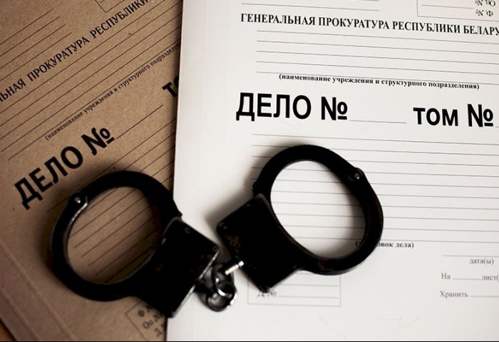 Финал криминального дуэта: в Кобрине осудили супругов за мошенничество в особо крупном размере