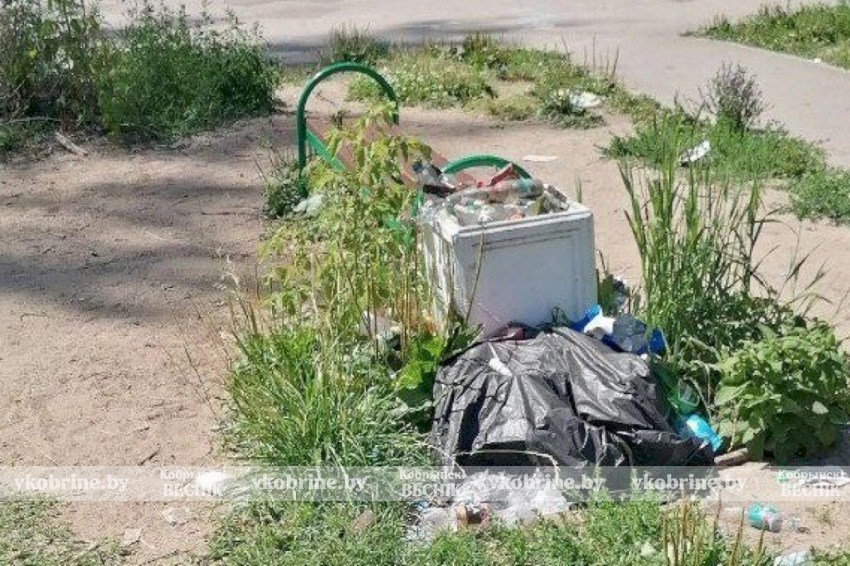 Сизифов труд или общая цель? Давайте обсудим, когда НЕ мусорить станет нормой