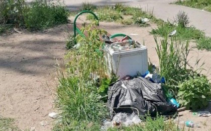 Сизифов труд или общая цель? Давайте обсудим, когда НЕ мусорить станет нормой
