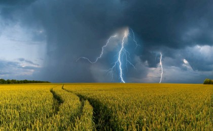 Грозы и сильные ливни накроют большую часть Беларуси 11 июня: правила безопасности