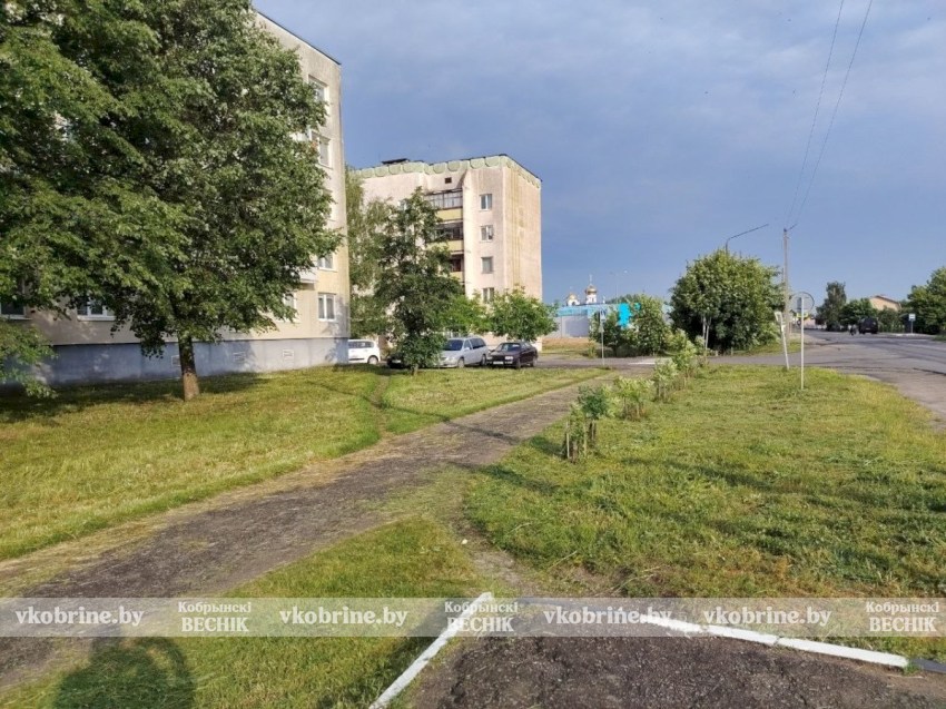 Заросли травы на Штабной и Настасича в Кобрине ликвидированы: «Зеленхоз» пояснил ситуацию с покосом