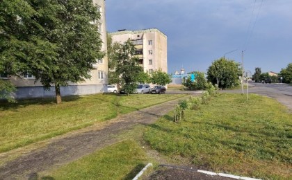 Заросли травы на Штабной и Настасича в Кобрине ликвидированы: «Зеленхоз» пояснил ситуацию с покосом