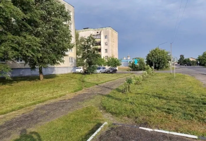 Заросли травы на Штабной и Настасича в Кобрине ликвидированы: «Зеленхоз» пояснил ситуацию с покосом