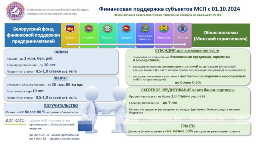 Льготные кредиты и субсидии для бизнеса: как получить господдержку в Брестской области