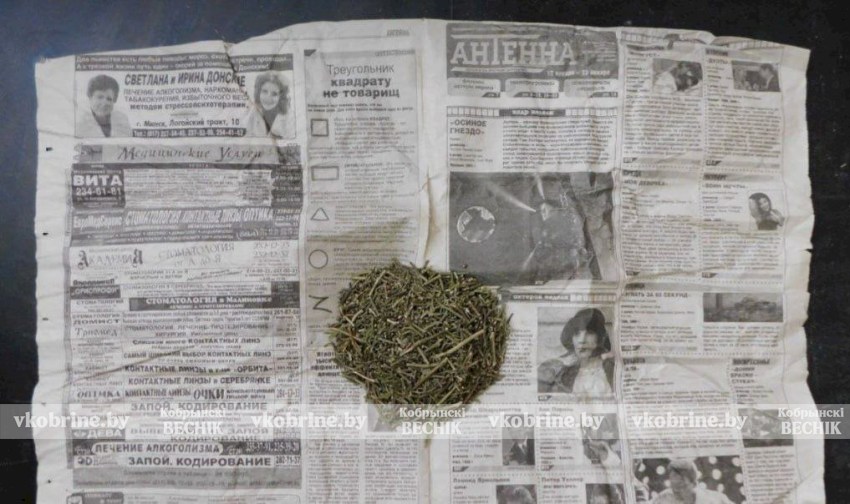 До 5 лет лишения свободы: В Кобрине задержан местный житель с крупной партией марихуаны