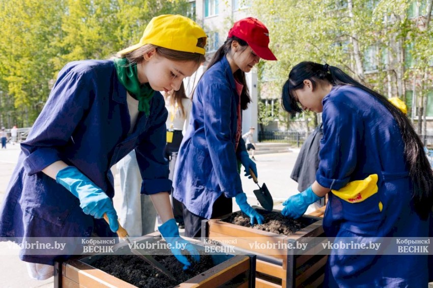 Работа для подростков в Беларуси: с какого возраста берут, сколько заплатят и что запрещено до 18 лет