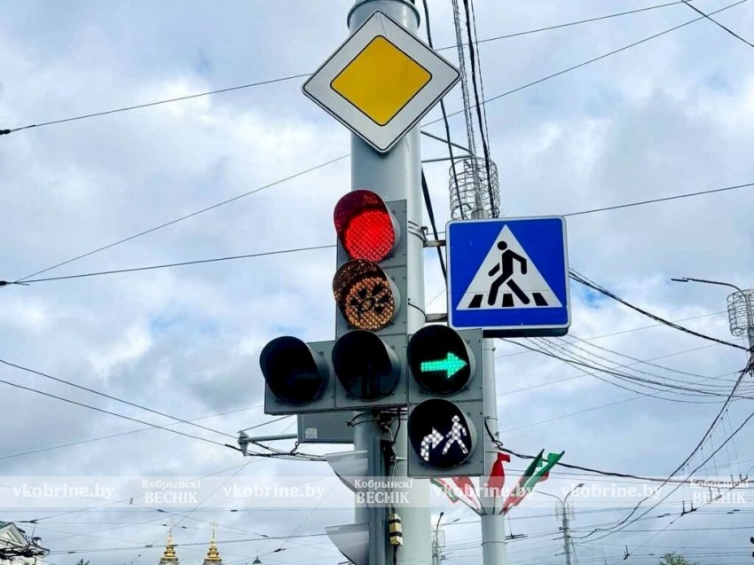 На светофорах в Витебске зацвели васильки 