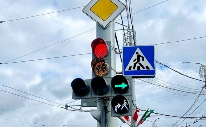 На светофорах в Витебске зацвели васильки 