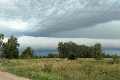 Шквалы, ливни и рекордные +40°С: оперативное предупреждение Белгидромета на 4-6 августа