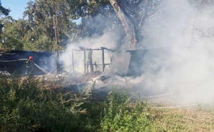 Остались без хозпостроек: в агрогородке Ореховский бушевал пожар