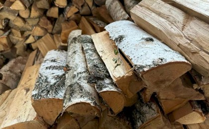 Как белорусам дешево запастись топливом на зиму: 3 проверенных способа