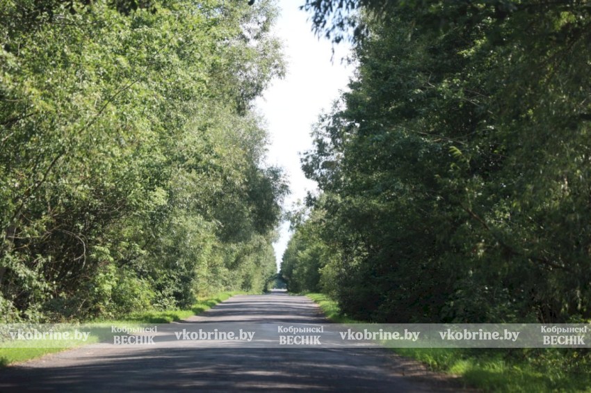 Август на память: фотопрогулка по Новоселковскому сельсовету