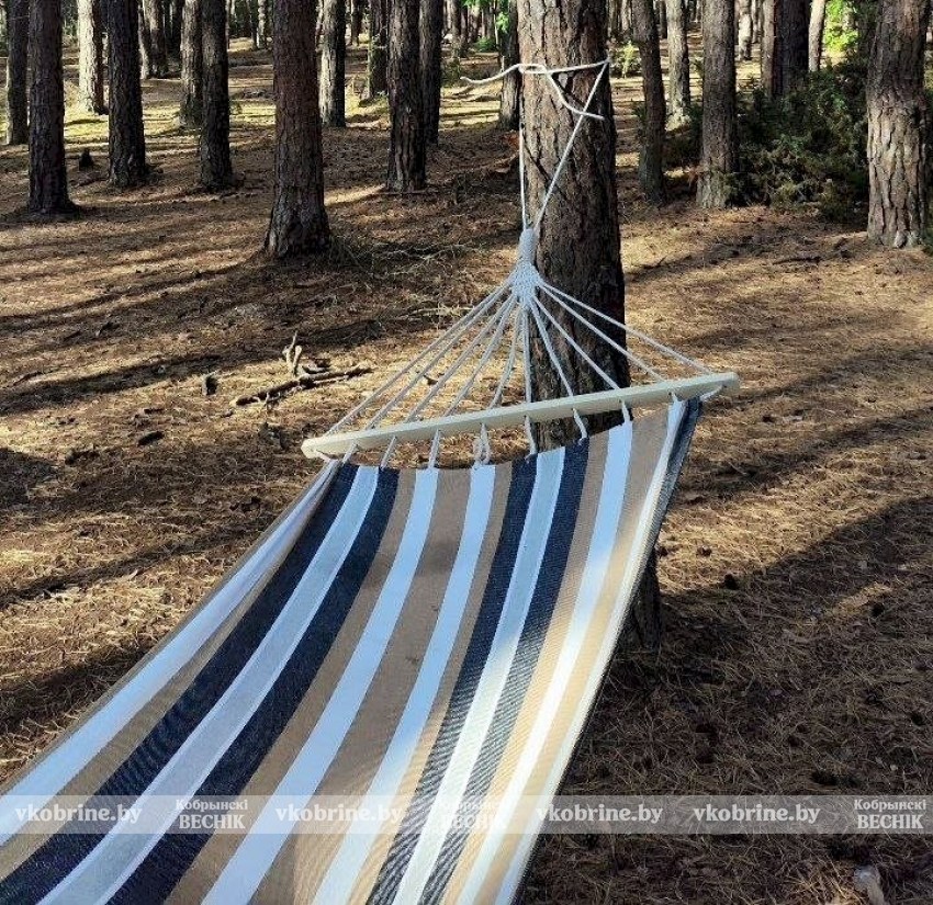 Идеальный финал лета на берегу Верхолесского озера. ФОТОФАКТ