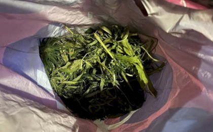 Сорвал не тот букет: кобринчанин попался с 19 граммами марихуаны