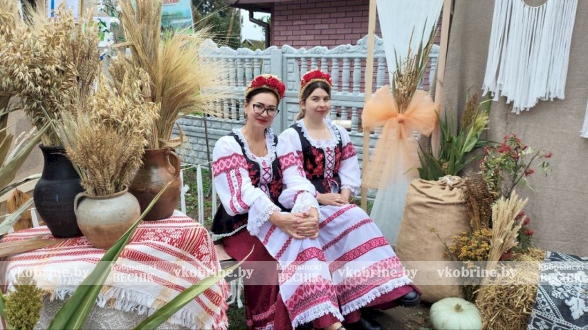 Ода хлеборобам: яркие кадры районного праздника