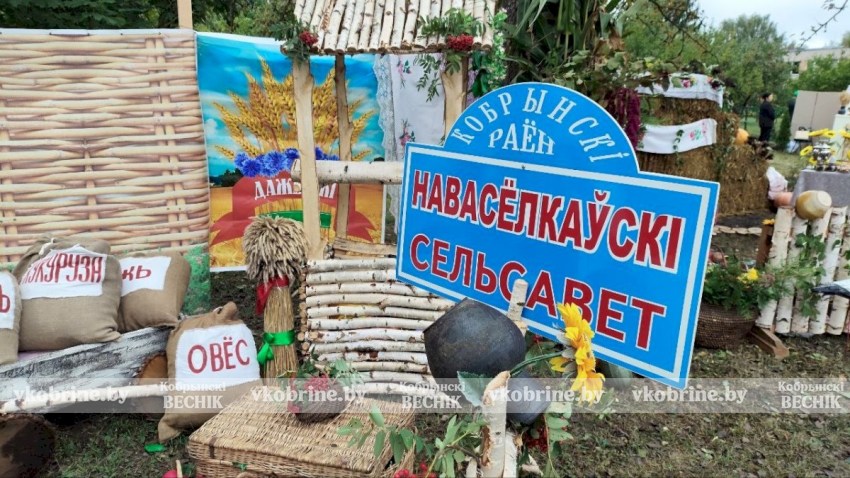 Ода хлеборобам: яркие кадры районного праздника