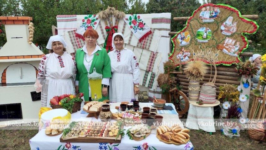Ода хлеборобам: яркие кадры районного праздника