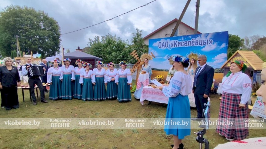 Ода хлеборобам: яркие кадры районного праздника