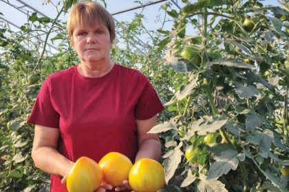 Вместо усталости - гордость за урожай: новый взгляд на сад и огород от Елены Шишко