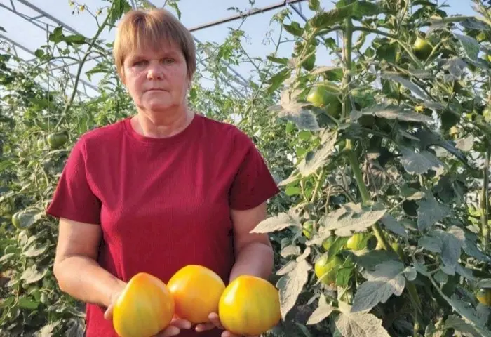 Вместо усталости - гордость за урожай: новый взгляд на сад и огород от Елены Шишко