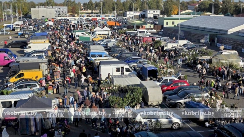 Приходите всей семьёй! У ТЦ «Полесье» развернулась колоритная осенняя ярмарка. ФОТОФАКТ