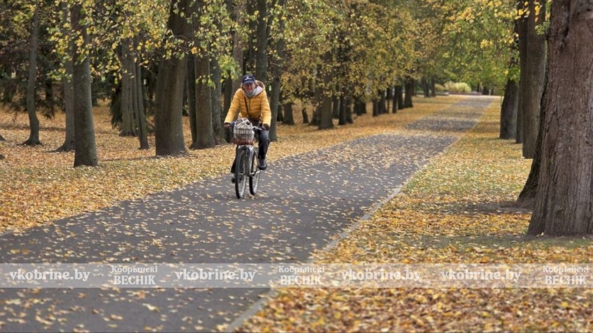 Прекрасное увядание природы: элегантный октябрь в Кобрине. ФОТОРЕПОРТАЖ