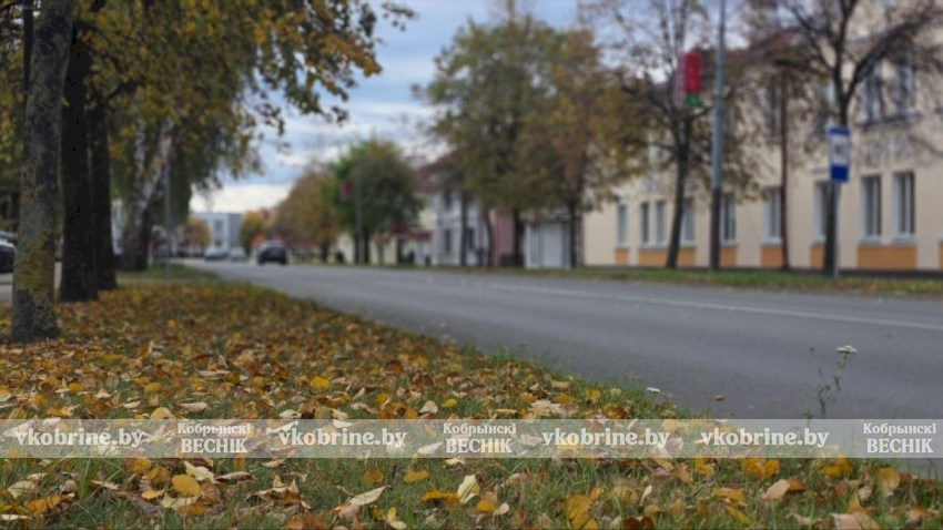 Прекрасное увядание природы: элегантный октябрь в Кобрине. ФОТОРЕПОРТАЖ
