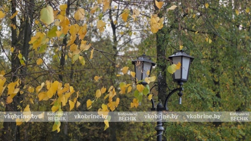 Прекрасное увядание природы: элегантный октябрь в Кобрине. ФОТОРЕПОРТАЖ