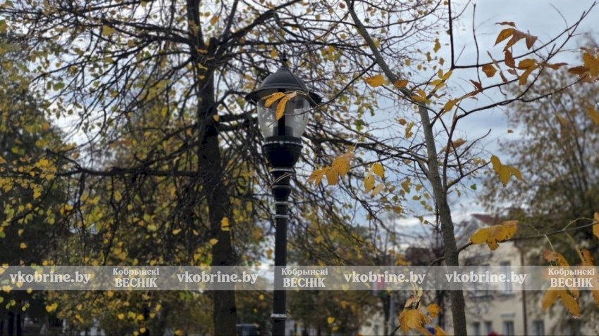 Прекрасное увядание природы: элегантный октябрь в Кобрине. ФОТОРЕПОРТАЖ