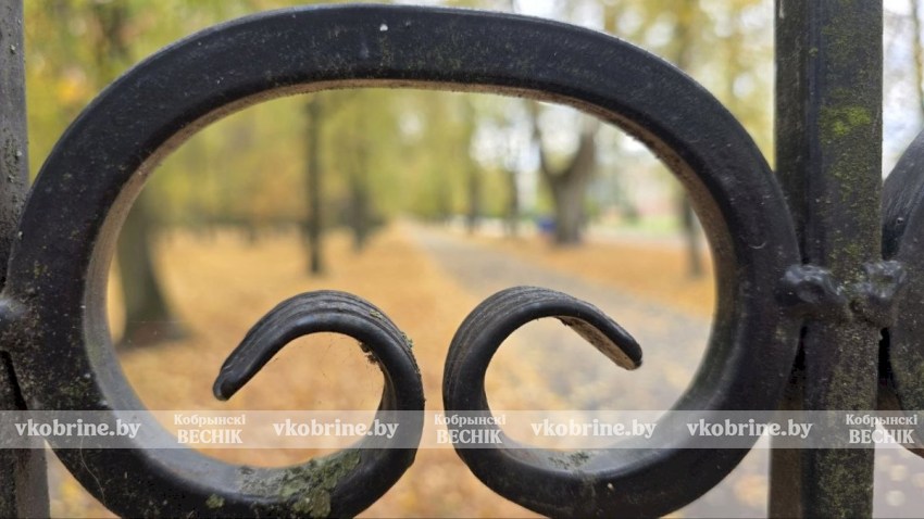 Прекрасное увядание природы: элегантный октябрь в Кобрине. ФОТОРЕПОРТАЖ