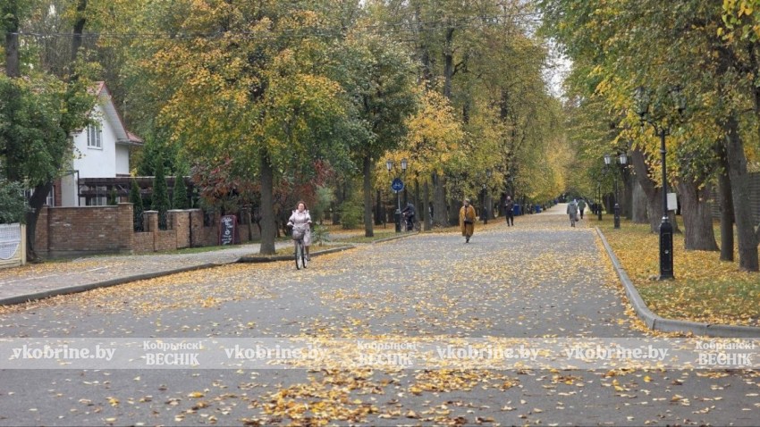 Прекрасное увядание природы: элегантный октябрь в Кобрине. ФОТОРЕПОРТАЖ