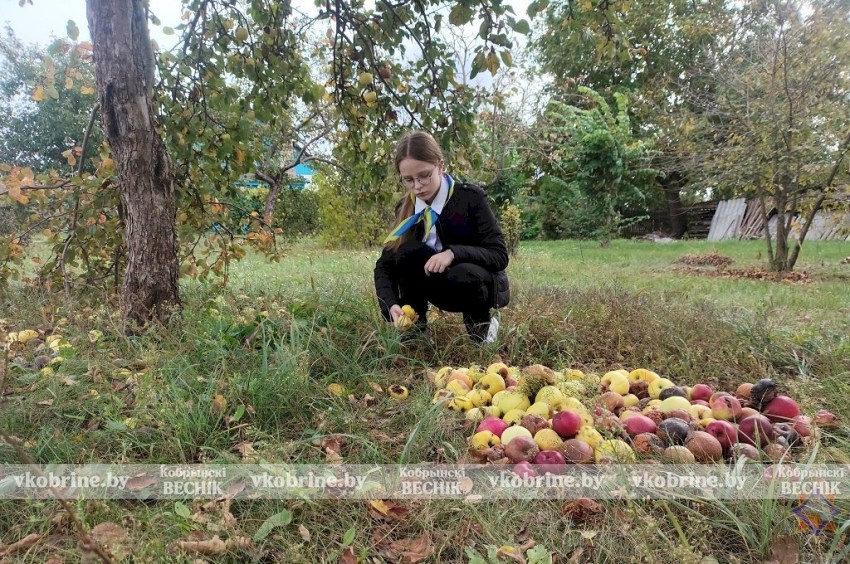 Десант добра в Залесье: юные спасатели навели порядок на подворье пенсионерки