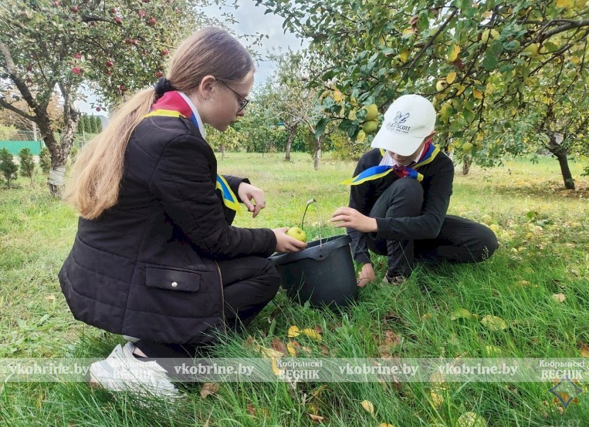 Десант добра в Залесье: юные спасатели навели порядок на подворье пенсионерки