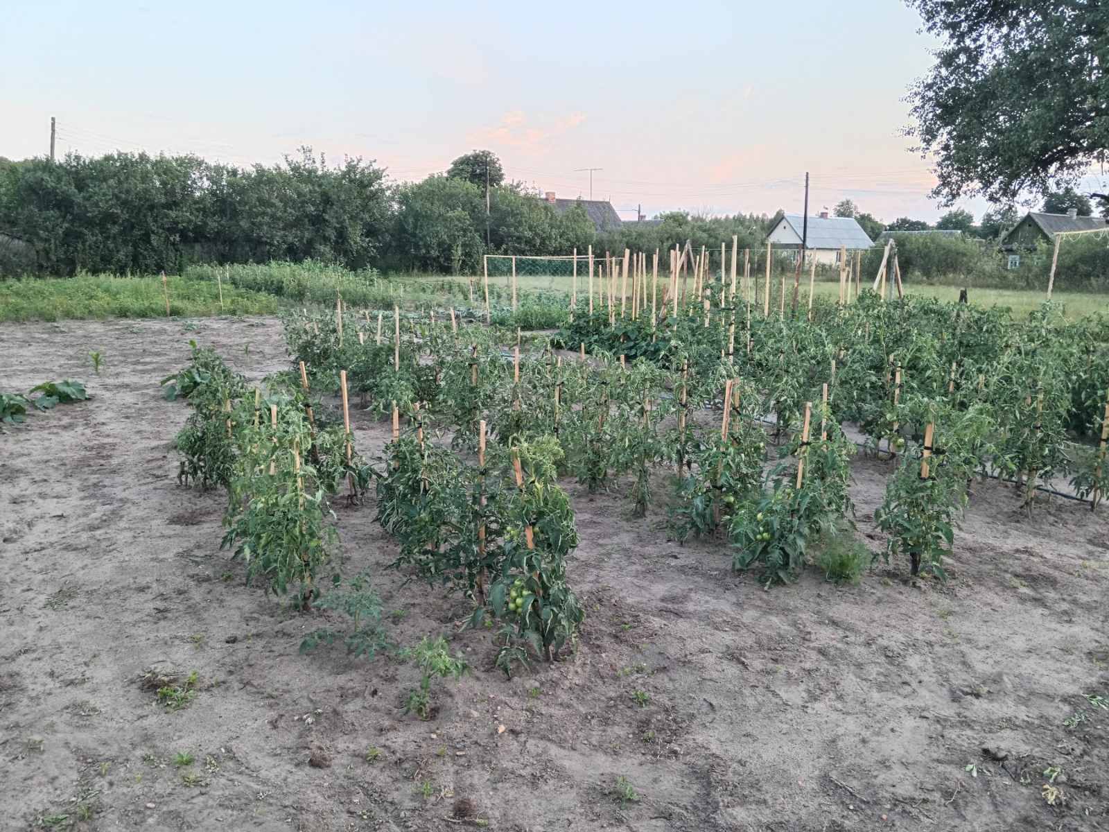 viber image 2025 11 10 16 23 54 712