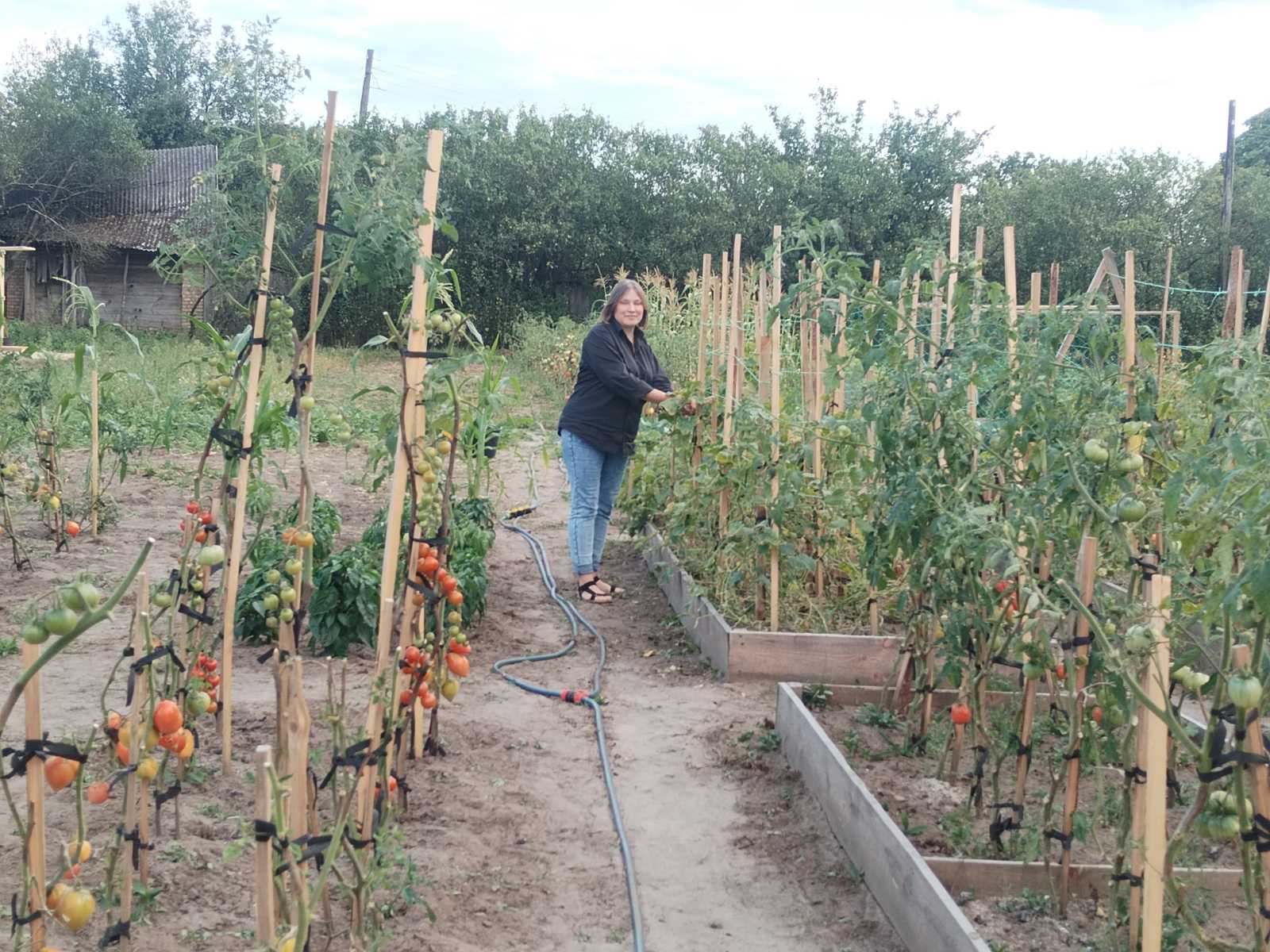 viber image 2025 11 25 11 55 36 905