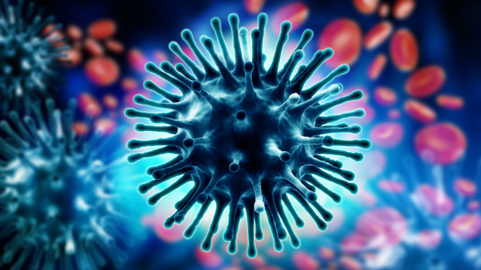 virus grippa u vzroslyh 960