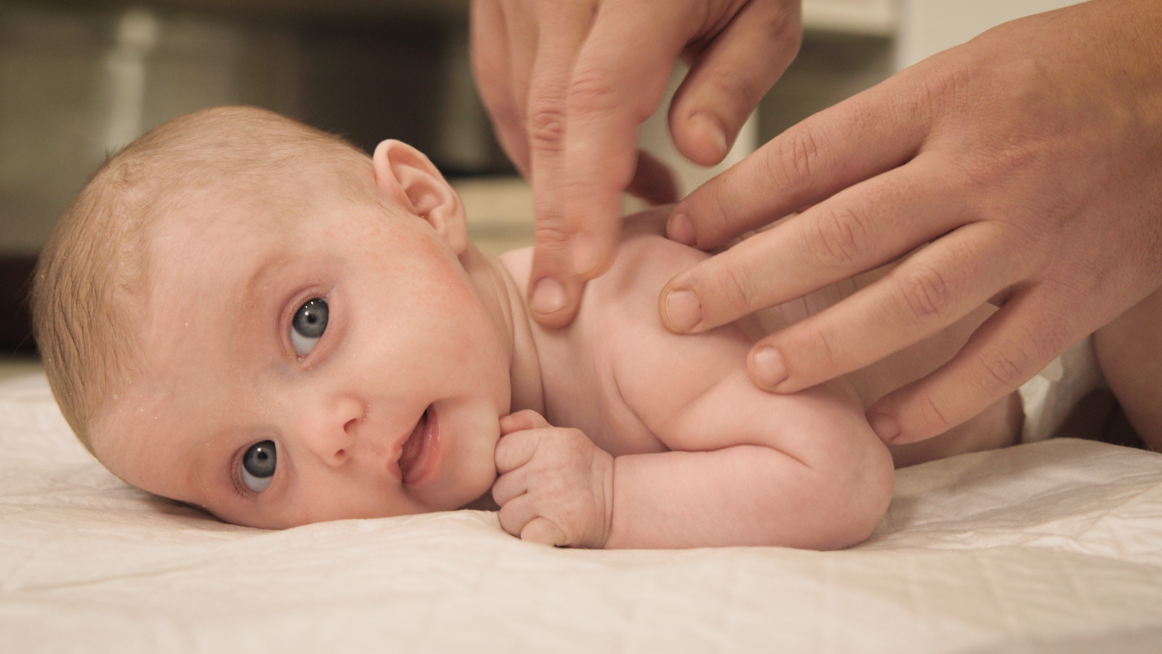 Монтаж 03 Покраска.00 13 19 19.Still027