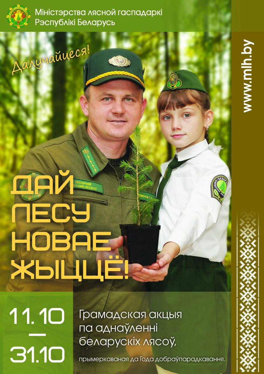 лес