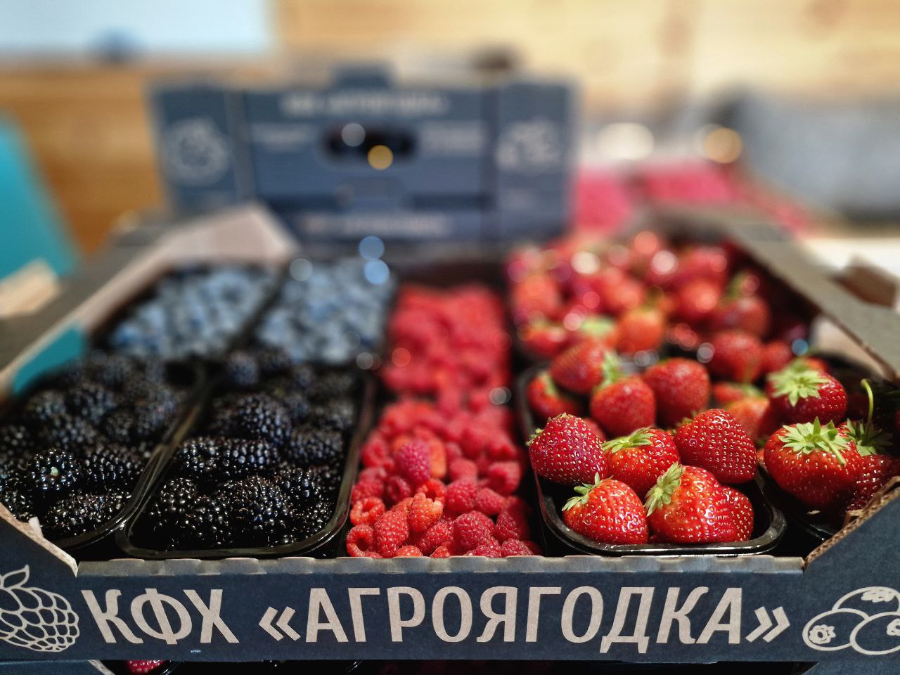 Агроягодка