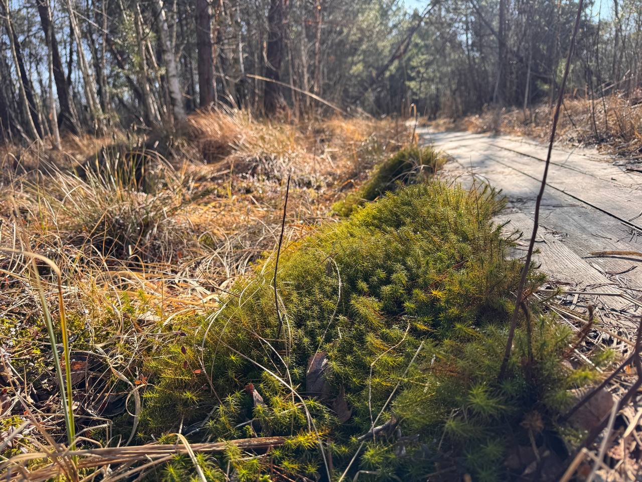photo 61 2025 04 04 15 35 26
