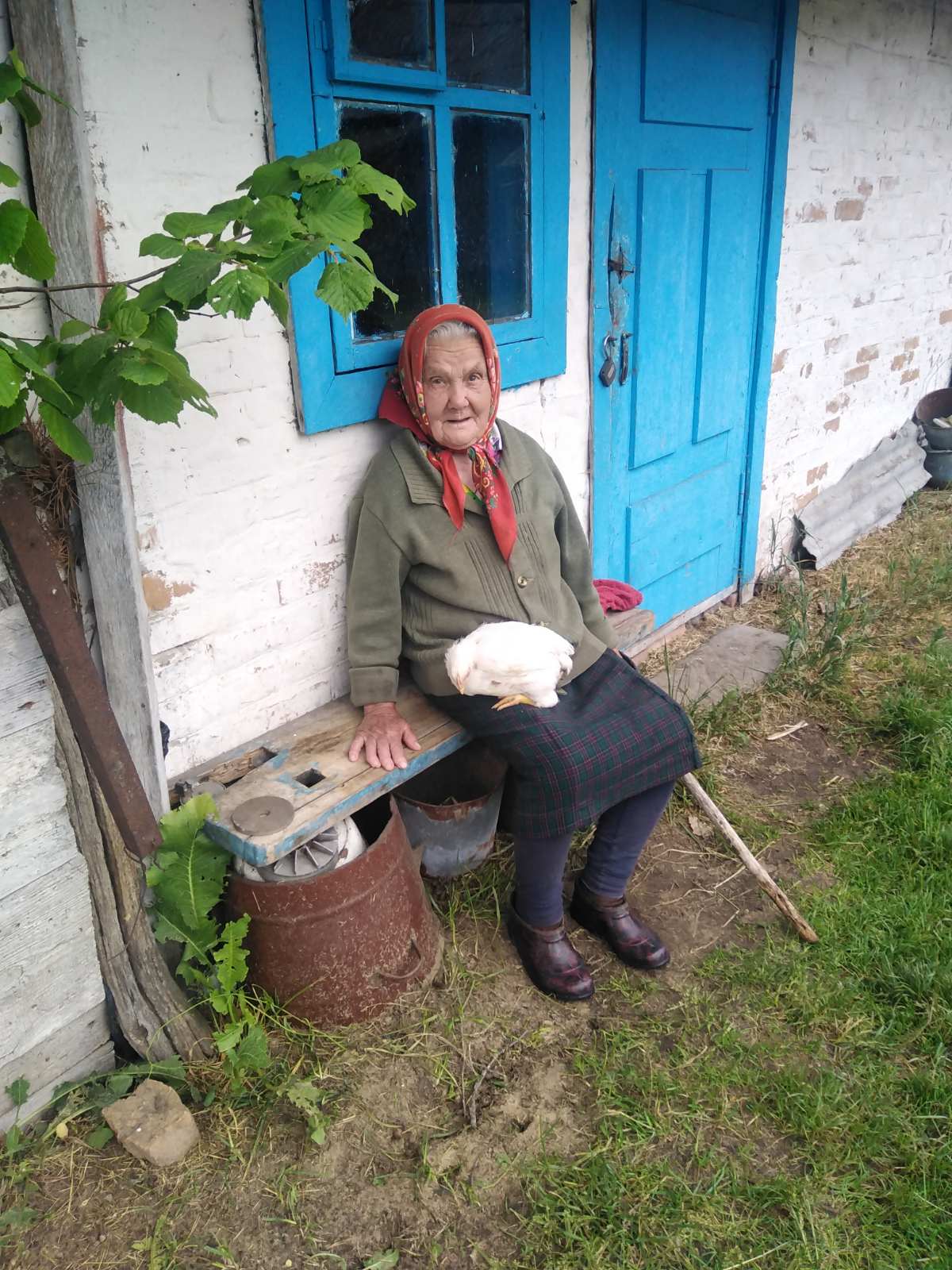 viber image 2026 03 31 12 12 34 658