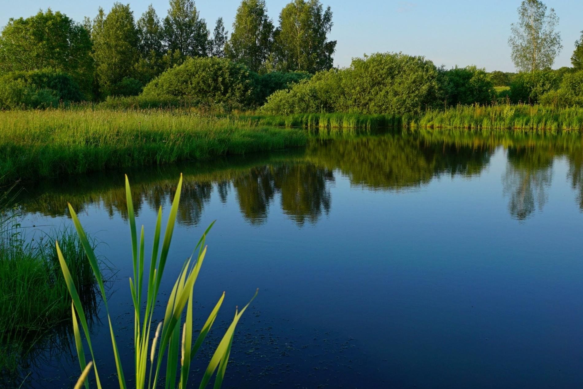 водоем1