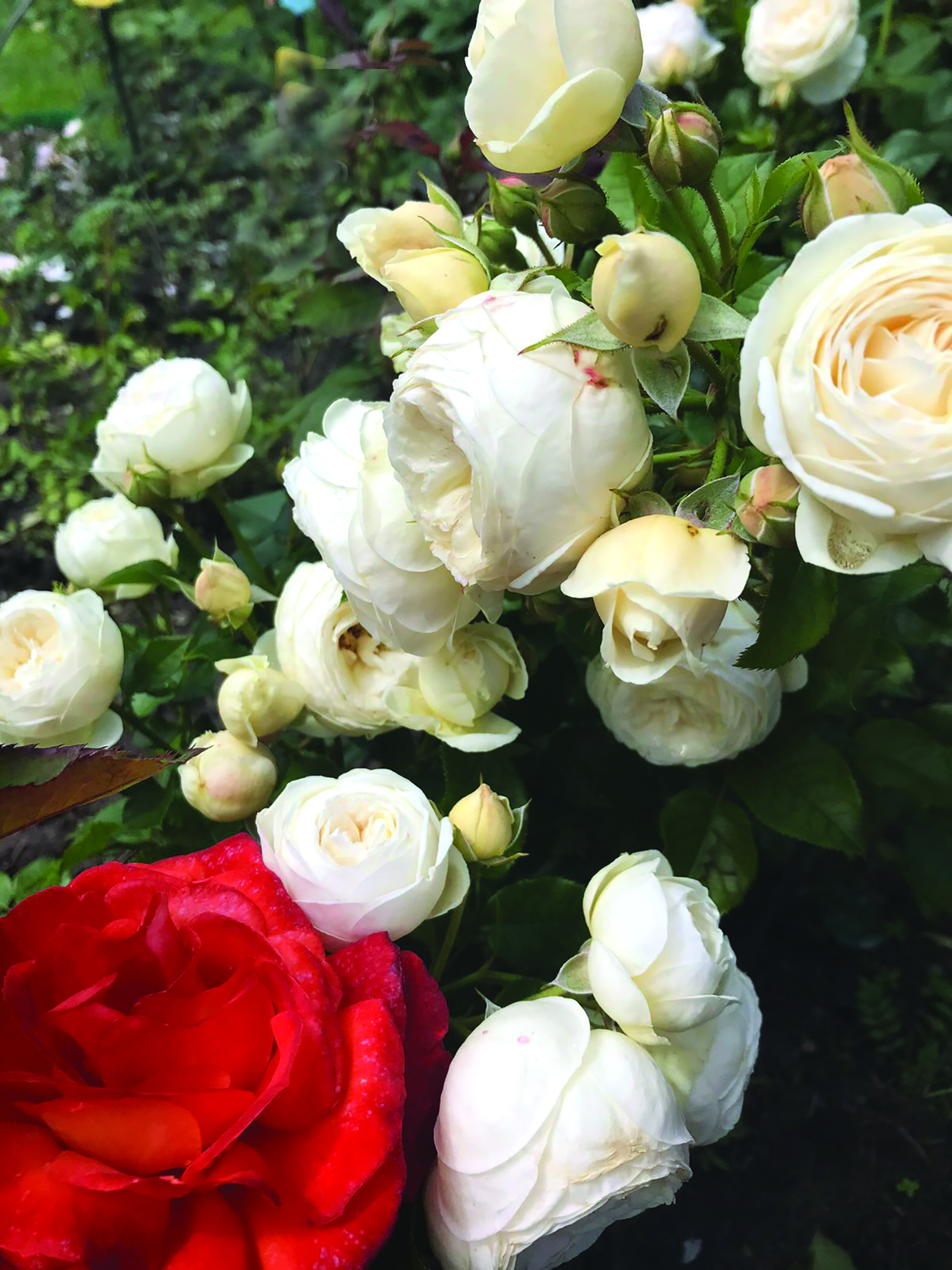 изображение viber 2025 11 03 09 43 51 360